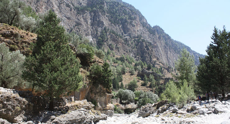 Samaria Gorge